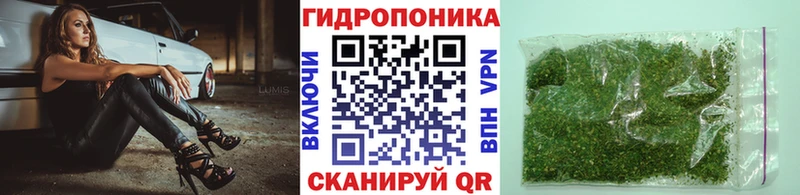 даркнет сайт  Сурск  Конопля марихуана 